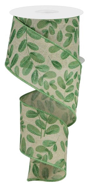 Bold Leaves Ivy Spring Royal Canvas Wired Ribbon : Natural, Beige, Dark Light Green, Sage - 2.5 Inches x 10 Yards (30 Feet)