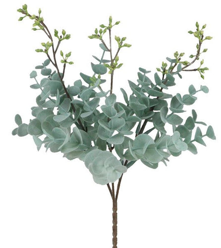 Eucalyptus Bush Floral Arrangements : - 11 Inches Long