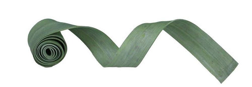 Foam Strip Ribbon: Green - 1.625 Inches x 5 Feet