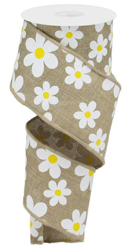 Daisy Print Wired Ribbon : Light Beige - 2.5 Inches x 10 Yards (30 Feet)